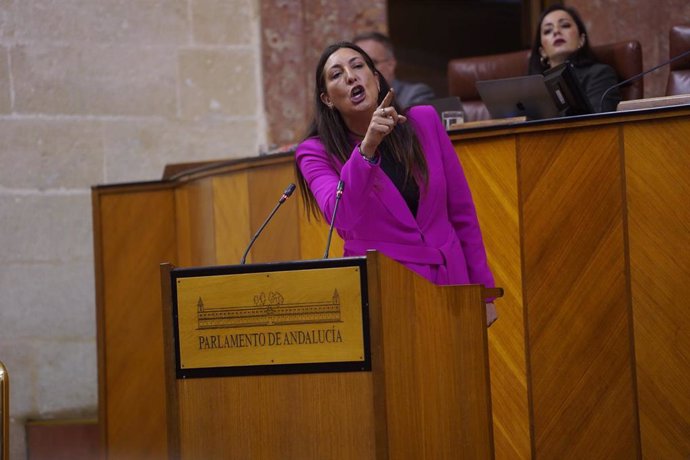 La consejera de Inclusión Social, Loles López, este miércoles durante su comparecencia en el Parlamento de Andalucía. 