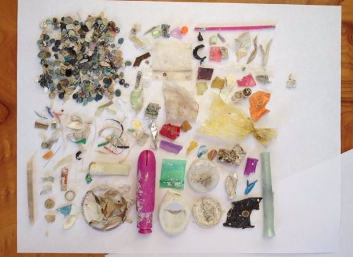 Unprecedented increase in plastic in the oceans since 2005