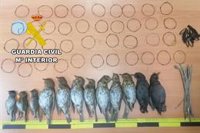 Investigado en Torreperogil (Jaén) por cazar pájaros con artes prohibidas