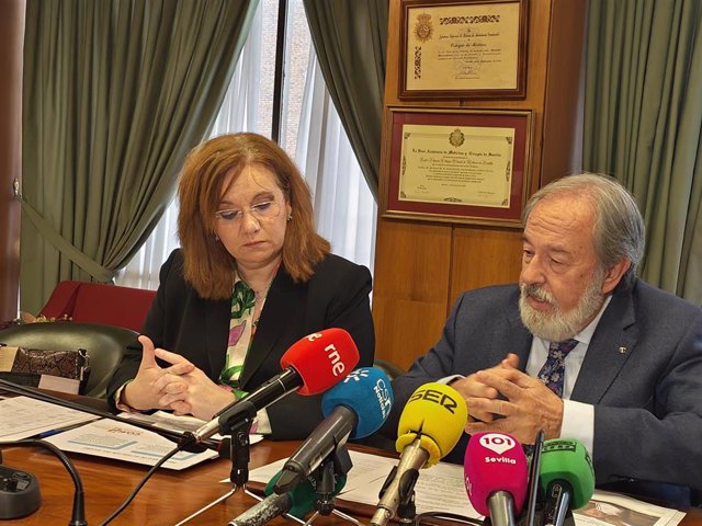 El presidente del Colegio de Médicos, Alfonso Carmona, y María Dolores Rincón, secretaria del grupo de Agresiones del Colegio de Médicos de Sevilla.