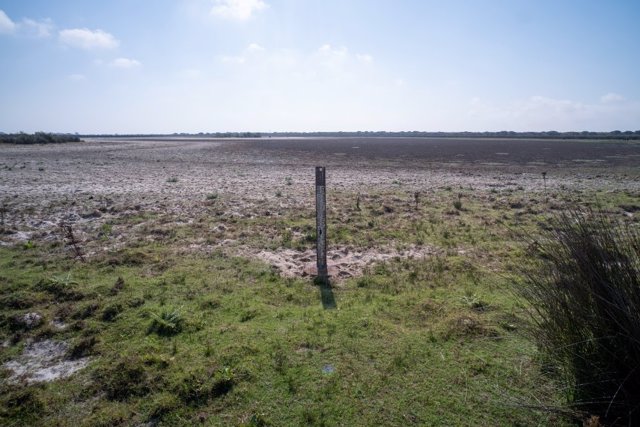Archivo - Doñana sigue amenazada por la sequía y las extracciones ilegales de agua