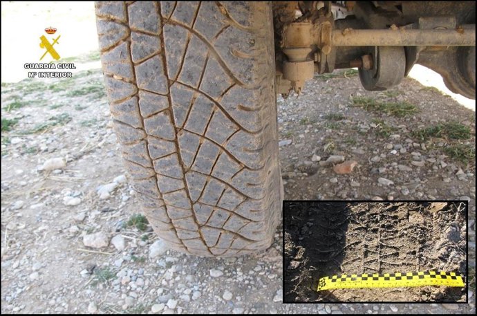 Coincidencia de rodada y neumático.