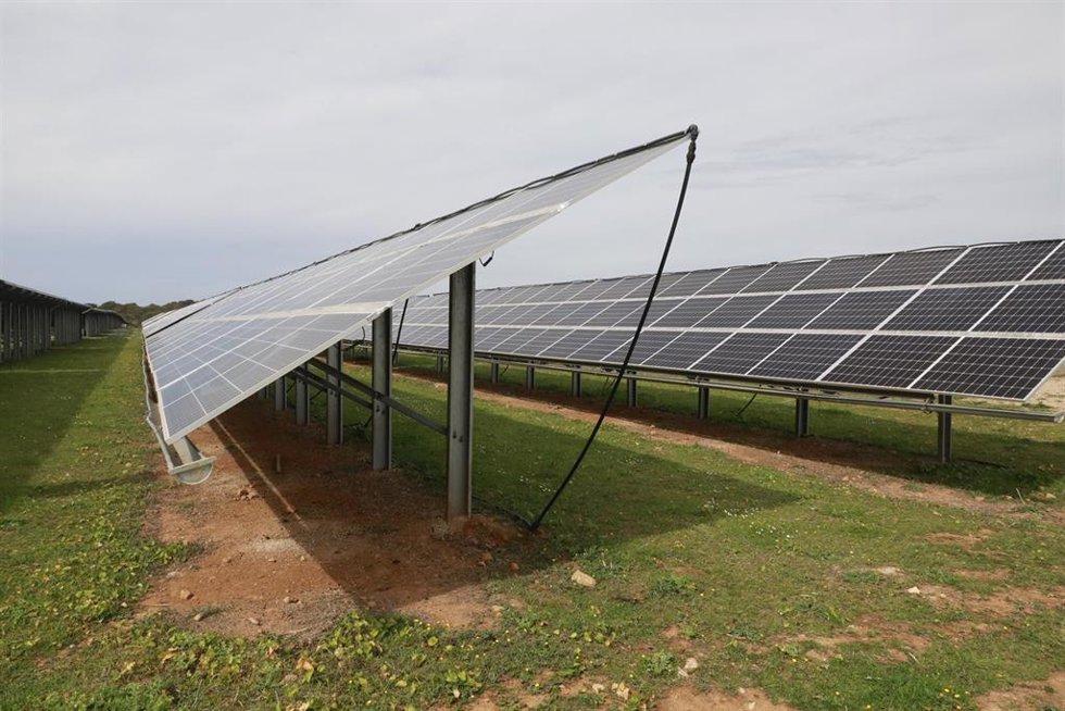 Parque agrovoltaico de Endesa en sa Caseta.
