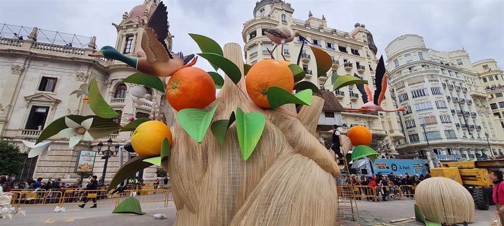 Plant de la Falla grande