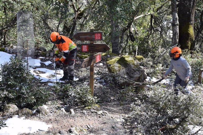 Brigadas trabajando en los caminos de la Ruta de Pedra en Sec.