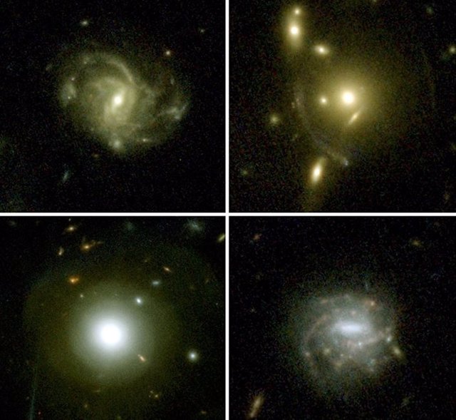 Images of four selected sample galaxies from the first epoch of COSMOS-Web NIRCam observations, highlighting the variety of structures that can be seen.