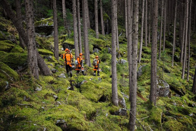 STIHL.