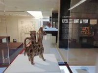 Bernal señala que la Junta apuesta por museos "inclusivos" y "que abarquen todas las posibles visitas"