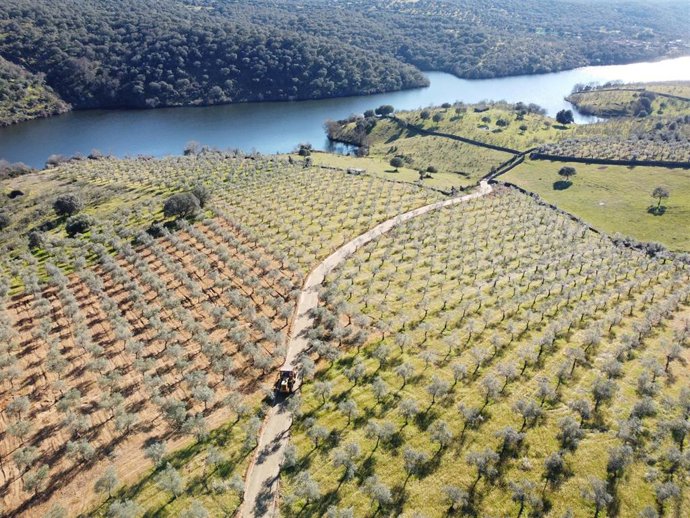 El camino rural público de Llanos del Barco en Guijo de Granadilla se adecúa con una inversión de casi 300.000 euros