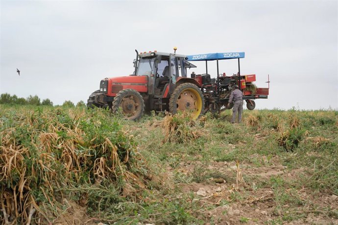 Archivo - Un tractor en el campo