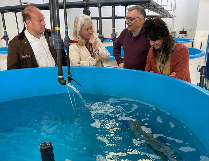 La Junta subraya la importancia de reforzar la colaboración con el Instituto de Ciencias Marinas de Andalucía de Puerto Real (Cádiz)