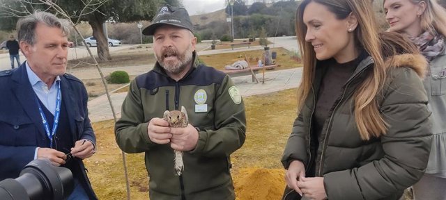 Imagen de la suelta de los cernícalos