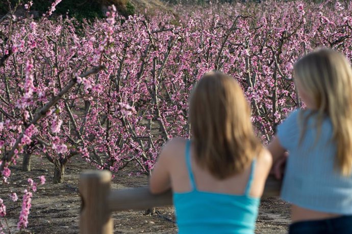 Comienza la floracion Cieza las imagenes se han realizdo en el Soto de la Zarzuela