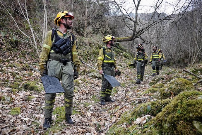 Varios bomberos de las Brigadas de Refuerzo en Incendios Forestales (BRIF) de Cantabria trabajan en las labores de extinción de un incendio forestal en el valle de Ardisana, a 10 de marzo de 2023, en Llano, Asturias (España). 