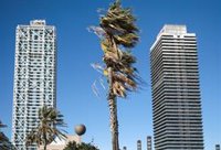 Barcelona desactiva l'alerta per risc de ventades i reobre els parcs de la ciutat
