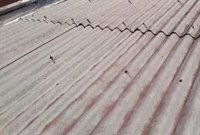 El PSOE insta a la Junta a retirar los techos de amianto de los colegios de la provincia de Málaga