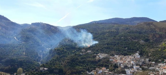 Incendio forestal en El Pinar (Granada).