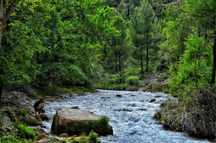 El Consejo de Protección de la Naturaleza presenta el libro Red Natura 2000 en Aragón.