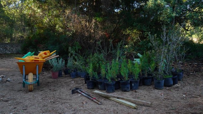 La celebración de la Semana Forestal Mundial se centra este año en Baleares en conmemorar el 90 aniversario del Cefor