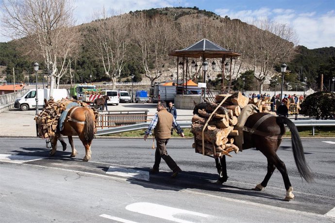 Archivo - Varios gabarreros llegan del monte, durante la celebración de la fiesta de los Gabarreros, en el Espinar, a 12 de marzo de 2022, en Segovia, Castilla y León (España).