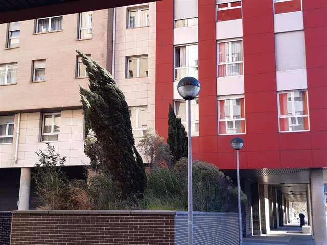 Archivo - Rachas de viento mueven los árboles en una calle.