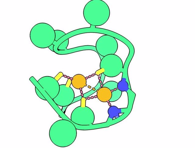 Una Representación Por Ordenador Del Péptido Nickelback Muestra Los Átomos De Nitrógeno De La Columna Vertebral (Azul) Que Unen Dos Átomos Críticos De Níquel (Naranja).