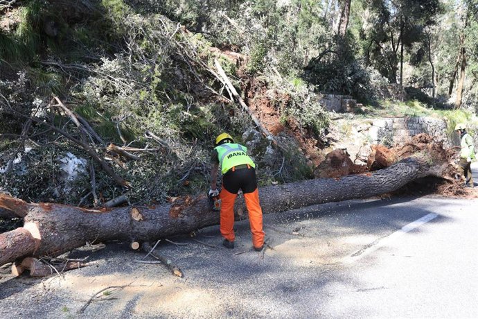 Una persona trabaja en una carretera de la Serra de Tramuntana.