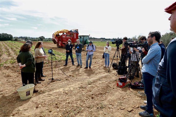 El Govern aprueba un decreto ley para agilizar ayudas a los afectados por la borrasca Juliette