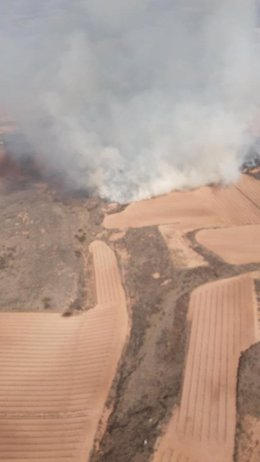 Incendio forestal en Fuenmayor (La Rioja), en terrenos próximos de la AP-68