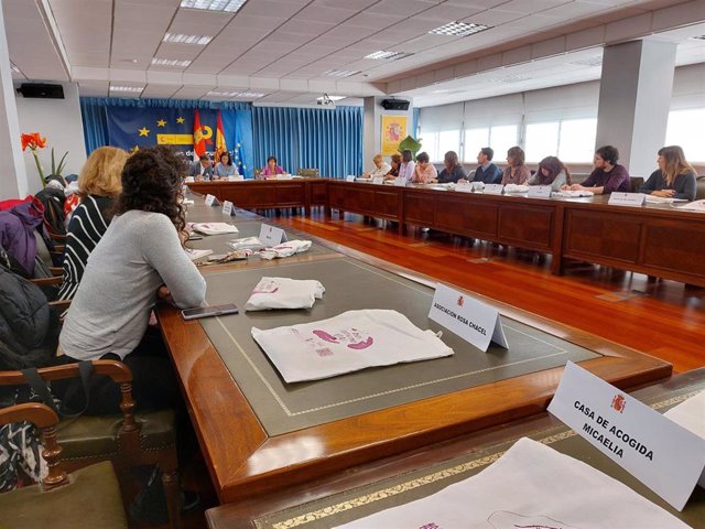Reunión de la subdelegada del Gobierno con las asociaciones de mujere de Valladolid.