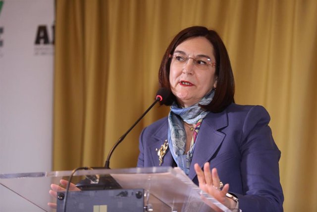 Archivo - La presidenta de la  Comisión Nacional de la Competencia, Cani Fernández, en una imagen de archivo