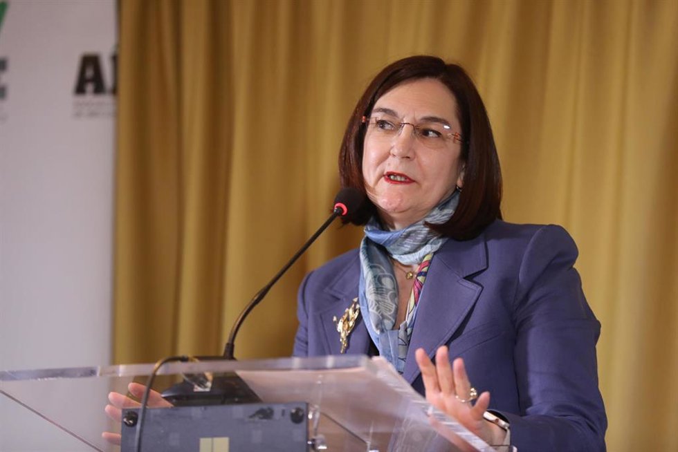Archivo - La presidenta de la  Comisión Nacional de la Competencia, Cani Fernández, en una imagen de archivo