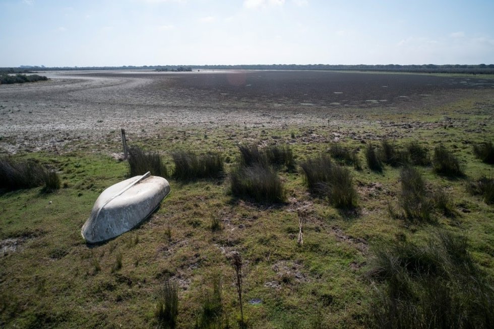 La sequía amenaza a Doñana