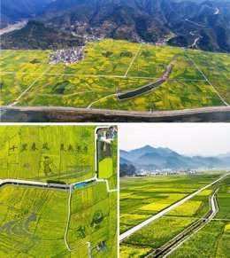 (Top) The Sea Of Rapeseed Flowers In Wawu Township, Bijiang District, Tongren City, Guizhou Province, Southwest China; (L) The Sea Of Rapeseed Flowers In Pingba District, Anshun City, Guizhou Province, Southwest China; (R) The Sea Of Rapeseed Flowers In W