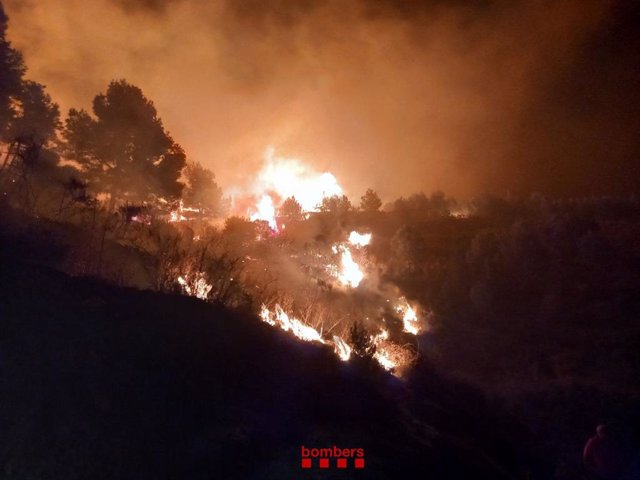 El incendio forestal de Selva del Camp (Tarragona) ha afectado a una superficie de unas 20 hectáreas