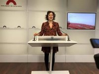 El PSC no descarta pedir la dimisión de Campuzano por la residencia de Santa Coloma (Barcelona)