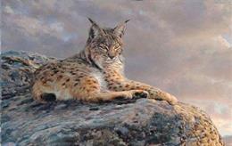 'Retratos de campo: el arte de Manuel Sosa'