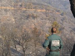 Agente de la Guardia Civil en un área forestal de la provincia de Granada