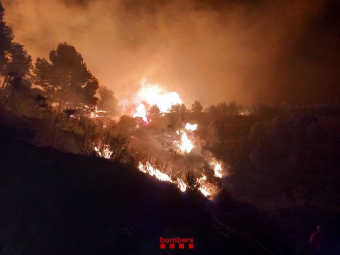 El incendio forestal de Selva del Camp (Tarragona) ha afectado a una superficie de unas 10 hectáreas