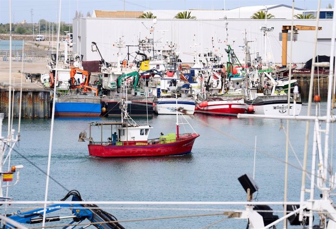 Archivo - Barcos amarrados en el puerto de Santoña