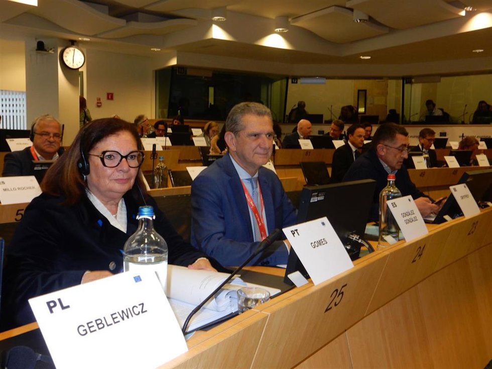 El consejero de Hacienda y Administración Pública de La Rioja, Celso González, ha participado esta tarde en una reunión de la Mesa del Comité Europeo de las Regiones