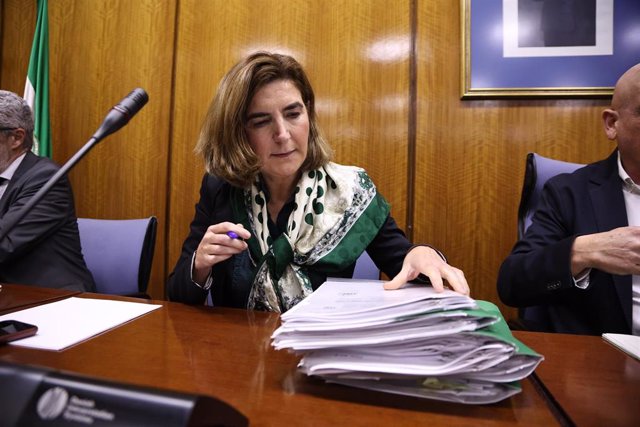 La consejera de Empleo, Empresa y Trabajo Autónomo, Rocío Blanco, en comisión parlamentaria.