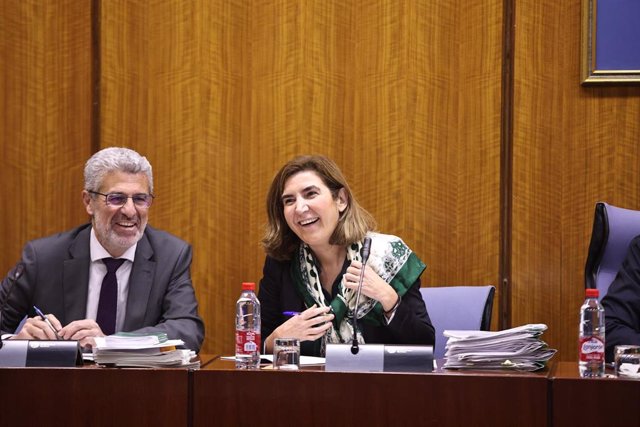 La consejera de Empleo, Rocío Blanco, en comisión en el Parlamento andaluz.