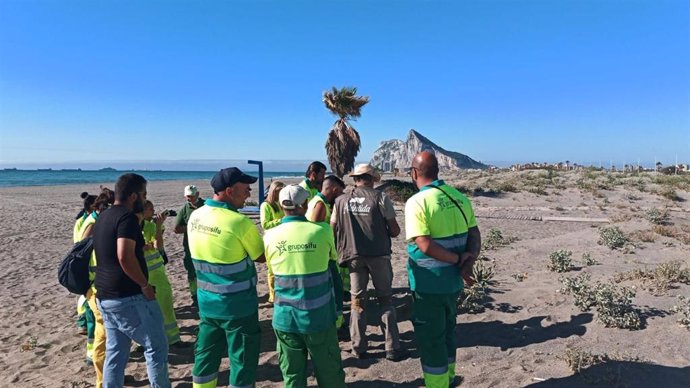 Diputación abre el plazo para el curso sobre buenas prácticas en el litoral y conservación del ecosistema