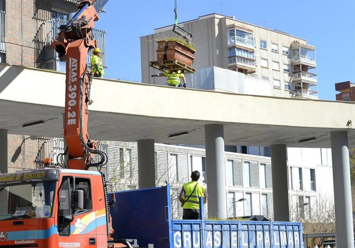 Obras de ajardinamiento de la pérgola de la Plaza de la Universidad de Murcia