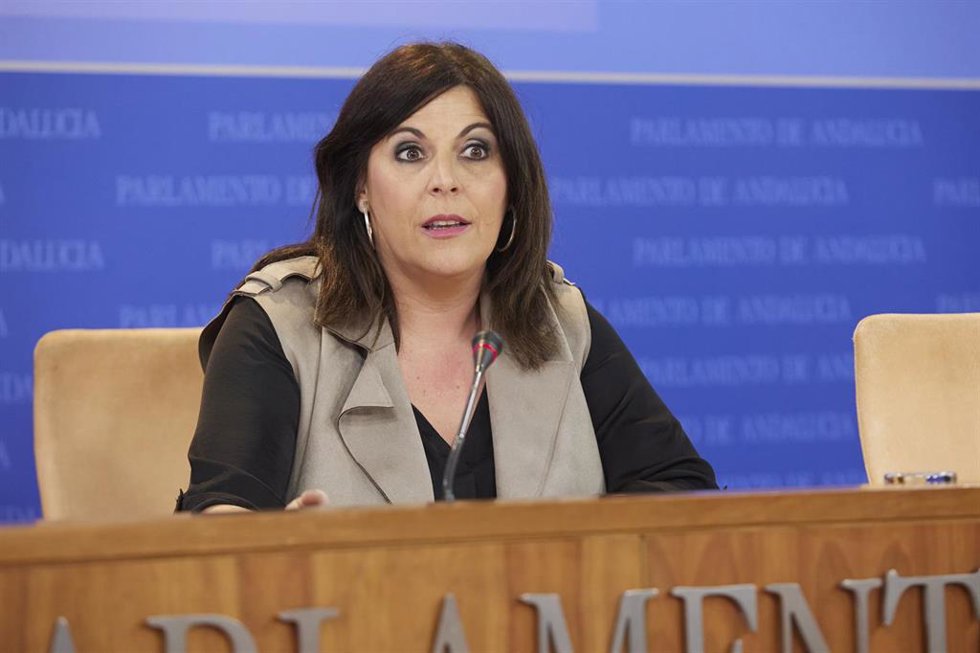 La portavoz del Grupo Parlamentario Socialista, Ángeles Férriz, este miércoles en rueda de prensa. 