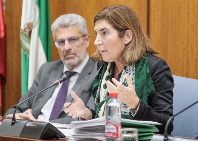 La consejera de Empleo, Rocío Blanco,  en comisión en el Parlamento andaluz.