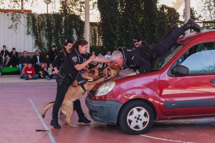 Exhibición de la Unidad Canina de la Policía Local de Mérida