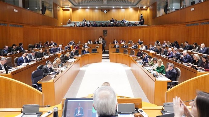 VOX propone en las Cortes de Aragón desarrollar medidas de apoyo a las familias y al fomento de la natalidad.