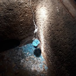 Imagen de la campaña de desratización.